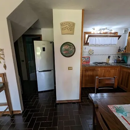 Tiziana R1673 * Is Traias