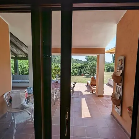 Tiziana R1673 * Is Traias