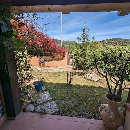Tiziana R1673