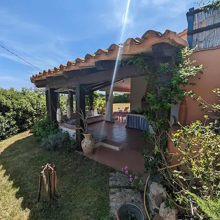 Tiziana R1673