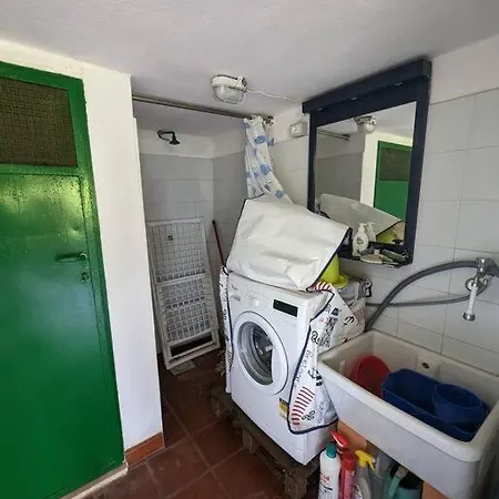 Tiziana R1673